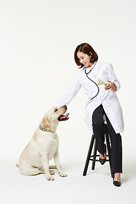 포토 JPG 스튜디오촬영 전신 한마리 우먼라이프 여자 실내 사랑 한명 들기 앉기 성인 앞모습 30대 한국인 의사가운 도움 골든리트리버 강아지 보호 동물보호 수의사 개껌 반려 여자만 성인여자한명만 펫팸족 국내포토 1 라이프스타일 감정 뷰포인트 컨셉 모션 사람 동양인 내부 장년 반려동물 의사 가운 개 리트리버 사회이슈 신조어 여자한명만 성인여자만 파일형식