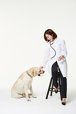 포토 JPG 스튜디오촬영 전신 한마리 우먼라이프 여자 실내 사랑 한명 들기 앉기 성인 앞모습 30대 한국인 의사가운 도움 골든리트리버 강아지 보호 동물보호 수의사 개껌 반려 여자만 성인여자한명만 펫팸족 국내포토 1 라이프스타일 감정 뷰포인트 컨셉 모션 사람 동양인 내부 장년 반려동물 의사 가운 개 리트리버 사회이슈 신조어 여자한명만 성인여자만 파일형식