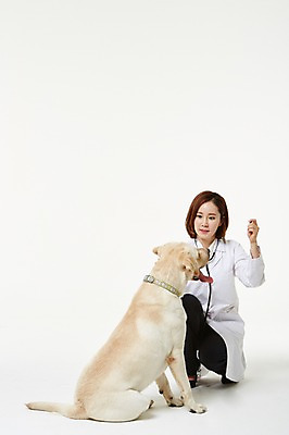 포토 JPG 스튜디오촬영 전신 한마리 우먼라이프 여자 실내 사랑 한명 앉기 성인 앞모습 30대 한국인 의사가운 도움 골든리트리버 강아지 보호 동물보호 수의사 반려 여자만 성인여자한명만 펫팸족 국내포토 1 라이프스타일 감정 뷰포인트 컨셉 모션 사람 동양인 내부 장년 반려동물 의사 가운 개 리트리버 사회이슈 신조어 여자한명만 성인여자만 파일형식