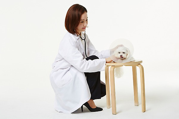 포토 JPG 스튜디오촬영 전신 한마리 우먼라이프 여자 의자 실내 사랑 한명 앉기 성인 옆모습 30대 한국인 의사가운 도움 말티즈 강아지 보호 동물보호 수의사 반려 여자만 성인여자한명만 펫팸족 국내포토 1 라이프스타일 감정 뷰포인트 가구 컨셉 모션 사람 동양인 내부 장년 반려동물 의사 가운 개 사회이슈 신조어 여자한명만 성인여자만 파일형식