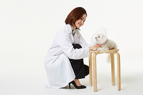 포토 JPG 스튜디오촬영 전신 한마리 우먼라이프 여자 의자 실내 사랑 한명 앉기 성인 옆모습 30대 한국인 의사가운 도움 말티즈 강아지 보호 동물보호 수의사 반려 여자만 성인여자한명만 펫팸족 국내포토 1 라이프스타일 감정 뷰포인트 가구 컨셉 모션 사람 동양인 내부 장년 반려동물 의사 가운 개 사회이슈 신조어 여자한명만 성인여자만 파일형식