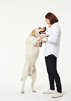 포토 JPG 스튜디오촬영 전신 한마리 우먼라이프 여자 실내 사랑 한명 서기 성인 옆모습 30대 한국인 도움 골든리트리버 강아지 보호 동물보호 수의사 반려 여자만 성인여자한명만 펫팸족 국내포토 1 라이프스타일 감정 뷰포인트 컨셉 모션 사람 동양인 내부 장년 반려동물 의사 개 리트리버 사회이슈 신조어 여자한명만 성인여자만 파일형식