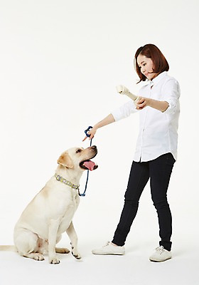 포토 JPG 스튜디오촬영 전신 한마리 우먼라이프 여자 실내 사랑 한명 서기 들기 성인 옆모습 30대 한국인 도움 골든리트리버 강아지 보호 동물보호 수의사 개껌 반려 여자만 성인여자한명만 펫팸족 국내포토 1 라이프스타일 감정 뷰포인트 컨셉 모션 사람 동양인 내부 장년 반려동물 의사 개 리트리버 사회이슈 신조어 여자한명만 성인여자만 파일형식