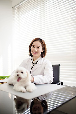 포토 JPG 스튜디오촬영 한마리 우먼라이프 여자 실내 사랑 한명 미소 앉기 상반신 성인 앞모습 30대 진료 한국인 의사가운 도움 말티즈 강아지 보호 동물보호 동물병원 수의사 반려 여자만 성인여자한명만 펫팸족 국내포토 1 라이프스타일 감정 뷰포인트 컨셉 의학 모션 표정 병원 사람 동양인 내부 장년 반려동물 의사 가운 개 사회이슈 신조어 여자한명만 성인여자만 파일형식