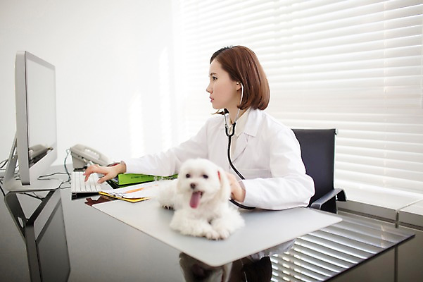 포토 JPG 스튜디오촬영 한마리 우먼라이프 여자 청진기 실내 사랑 한명 앉기 상반신 성인 옆모습 30대 진료 한국인 의사가운 도움 말티즈 강아지 보호 동물보호 동물병원 수의사 반려 여자만 성인여자한명만 펫팸족 국내포토 1 라이프스타일 감정 뷰포인트 컨셉 의학 의료기기 모션 병원 사람 동양인 내부 장년 반려동물 의사 가운 개 사회이슈 신조어 여자한명만 성인여자만 파일형식