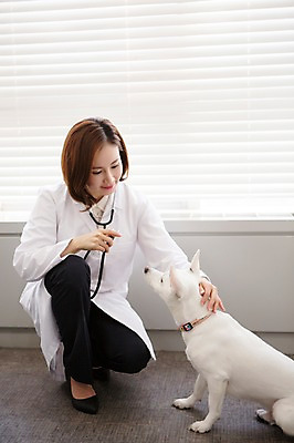 포토 JPG 스튜디오촬영 전신 한마리 우먼라이프 여자 실내 사랑 한명 앉기 성인 앞모습 30대 진료 한국인 의사가운 도움 강아지 보호 동물보호 동물병원 수의사 반려 여자만 성인여자한명만 펫팸족 스피츠 국내포토 1 라이프스타일 감정 뷰포인트 컨셉 의학 모션 병원 사람 동양인 내부 장년 반려동물 의사 가운 개 사회이슈 신조어 여자한명만 성인여자만 파일형식