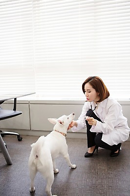 포토 JPG 스튜디오촬영 전신 한마리 우먼라이프 여자 실내 사랑 한명 앉기 성인 앞모습 30대 진료 한국인 의사가운 도움 강아지 보호 동물보호 동물병원 수의사 반려 여자만 성인여자한명만 펫팸족 스피츠 국내포토 1 라이프스타일 감정 뷰포인트 컨셉 의학 모션 병원 사람 동양인 내부 장년 반려동물 의사 가운 개 사회이슈 신조어 여자한명만 성인여자만 파일형식