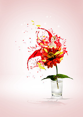 PSD 서양인 외국인 편집이미지 여자 꽃 한명 상반신 20대 성인 앞모습 뷰티 물컵 여자만 성인여자한명만 이미지편집 식물 1 뷰포인트 사람 인종 청년 컵 여자한명만 성인여자만 파일형식