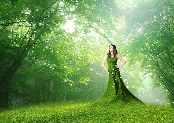 전신 PSD 서양인 외국인 나무 편집이미지 드레스 여자 한명 서기 잔디 성인 환경 숲 녹색배경 성인여자한명만 이미지편집 식물 1 옷 백그라운드 모션 사람 인종 초록색 여자한명만 성인여자만 파일형식