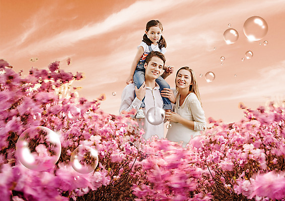 PSD 서양인 외국인 편집이미지 여자 남자 꽃 어린이 가족 사랑 서기 미소 상반신 성인 앞모습 세명 목말 성인만 이미지편집 식물 감정 뷰포인트 관계 모션 표정 사람 인종 파일형식