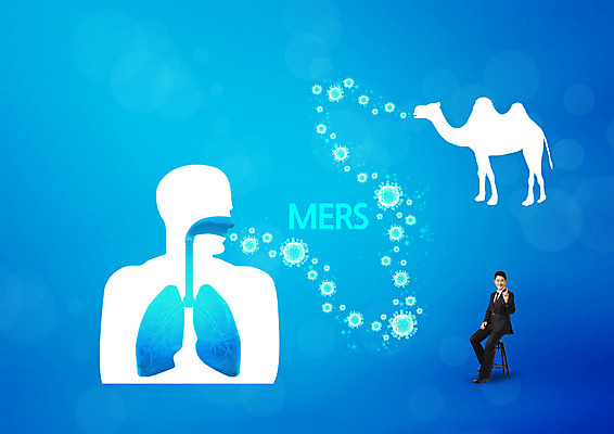 전신 PSD 편집이미지 남자 의학 한명 앉기 성인 앞모습 한국인 허파 바이러스 낙타 박테리아 메르스 성인남자한명만 이미지편집 1 뷰포인트 포유류 모션 사람 동양인 호흡기관 질병 남자한명만 성인남자만 파일형식