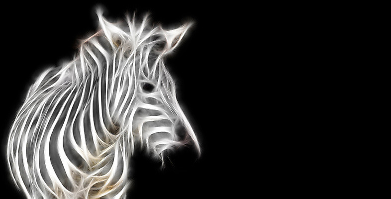 JPG 편집이미지 한마리 검은배경 사람없음 빛 디지털합성 네온 얼룩말 형광 디지털아트 네온아트 편집실사 1 백그라운드 검은색 말_동물 CG 파일형식
