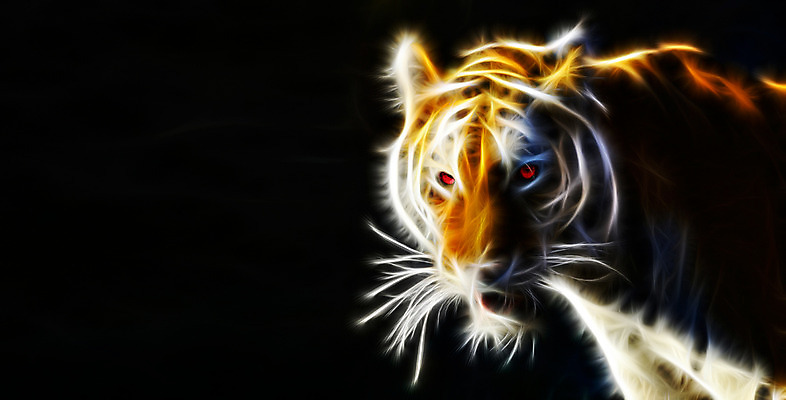 JPG 편집이미지 한마리 검은배경 사람없음 빛 호랑이 디지털합성 네온 형광 디지털아트 네온아트 편집실사 1 백그라운드 포유류 검은색 CG 파일형식