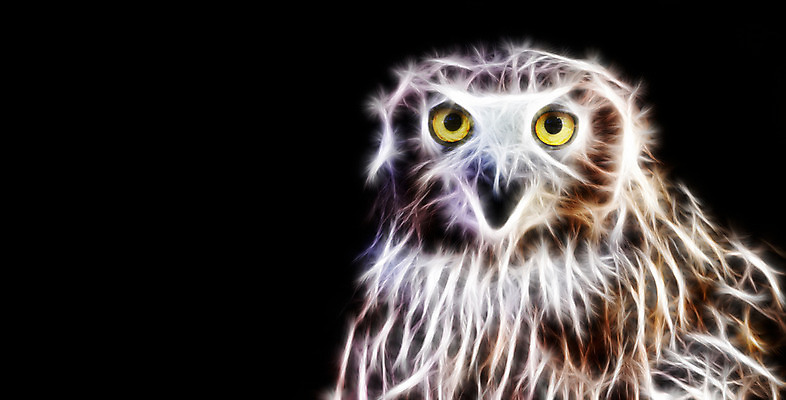 JPG 편집이미지 한마리 검은배경 사람없음 빛 디지털합성 네온 부엉이 형광 디지털아트 네온아트 편집실사 1 백그라운드 조류 검은색 CG 파일형식