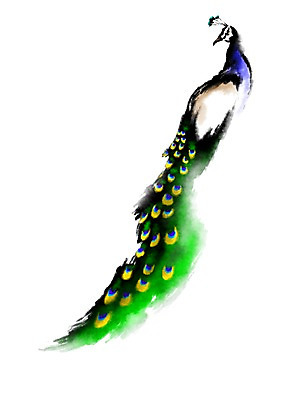 PSD 동물 한마리 일러스트 캘리그라피 사람없음 공작 국내일러스트 1 조류 파일형식