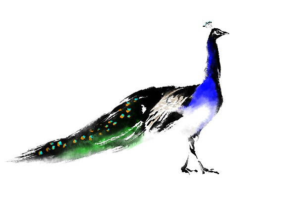 PSD 동물 한마리 일러스트 캘리그라피 사람없음 공작 국내일러스트 1 조류 파일형식