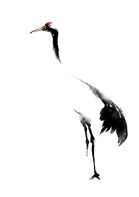 PSD 동물 한마리 일러스트 캘리그라피 사람없음 학 국내일러스트 1 조류 파일형식