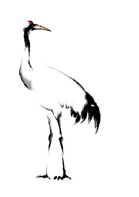 PSD 동물 한마리 일러스트 캘리그라피 사람없음 학 국내일러스트 1 조류 파일형식