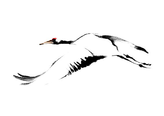 PSD 동물 한마리 일러스트 캘리그라피 사람없음 학 비행 국내일러스트 1 조류 파일형식