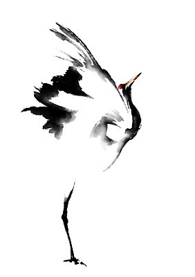 PSD 동물 한마리 일러스트 캘리그라피 사람없음 학 국내일러스트 1 조류 파일형식