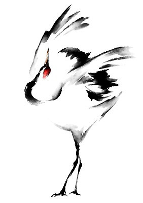 PSD 동물 한마리 일러스트 캘리그라피 사람없음 학 국내일러스트 1 조류 파일형식