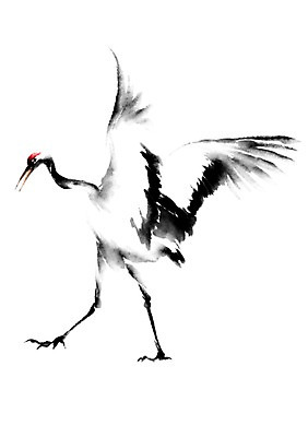 PSD 동물 한마리 일러스트 캘리그라피 사람없음 학 국내일러스트 1 조류 파일형식