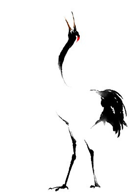 PSD 동물 한마리 일러스트 캘리그라피 사람없음 학 국내일러스트 1 조류 파일형식