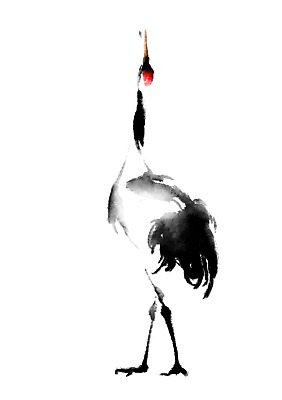 PSD 동물 한마리 일러스트 캘리그라피 사람없음 학 국내일러스트 1 조류 파일형식