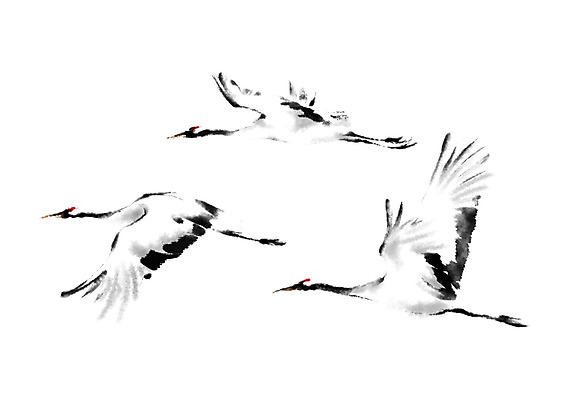 PSD 동물 일러스트 캘리그라피 세마리 사람없음 학 비행 국내일러스트 조류 3 파일형식