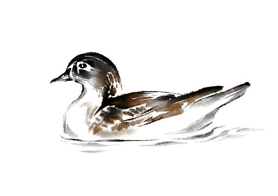 PSD 동물 한마리 일러스트 캘리그라피 오리 사람없음 청둥오리 국내일러스트 1 조류 파일형식