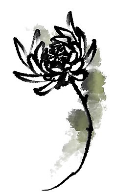 PSD 꽃 한송이 일러스트 캘리그라피 국화 사람없음 흰색 얼룩 국내일러스트 식물 1 컬러 송이 파일형식