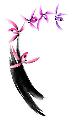 PSD 꽃 분홍색 여러송이 일러스트 캘리그라피 사람없음 보라색 난초 난초꽃 국내일러스트 식물 컬러 다수 파일형식