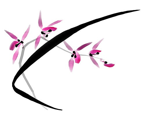 PSD 꽃 분홍색 여러송이 일러스트 캘리그라피 사람없음 난초 난초꽃 국내일러스트 식물 컬러 다수 파일형식