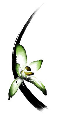 PSD 꽃 한송이 일러스트 캘리그라피 사람없음 초록색 난초 난초꽃 국내일러스트 식물 1 컬러 송이 파일형식