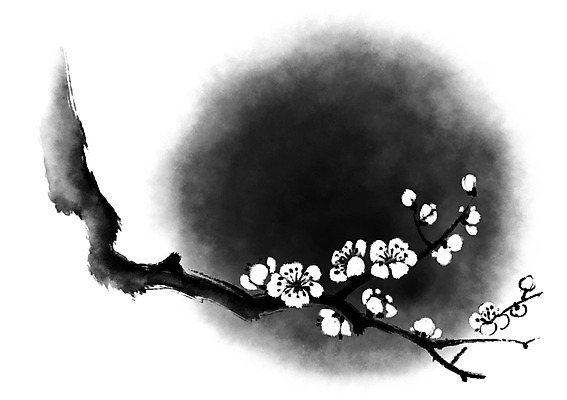 PSD 꽃 여러송이 일러스트 캘리그라피 사람없음 흰색 나뭇가지 매화 국내일러스트 나무 식물 컬러 다수 파일형식