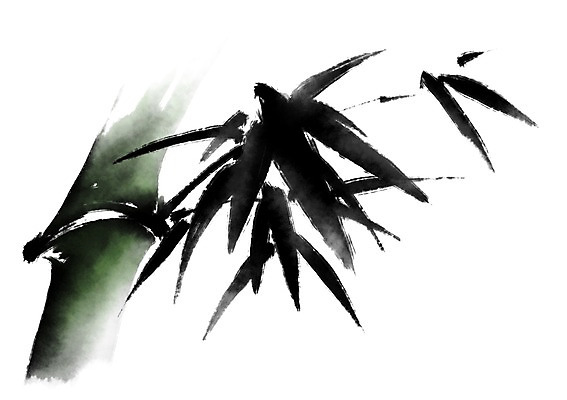 PSD 잎 일러스트 캘리그라피 사람없음 대나무 대나무잎 국내일러스트 나무 식물 파일형식