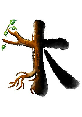 PSD 나무 일러스트 캘리그라피 나뭇잎 한그루 타이포그라피 사람없음 한자 나무뿌리 나무목 국내일러스트 식물 문자 1 잎 뿌리 파일형식