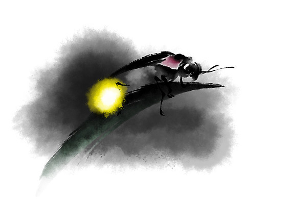 PSD 동물 한마리 일러스트 캘리그라피 사람없음 빛 풀 반딧불이 국내일러스트 식물 1 곤충 파일형식