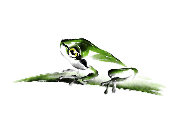 PSD 동물 한마리 일러스트 캘리그라피 개구리 사람없음 풀 청개구리 국내일러스트 식물 1 양서류 파일형식