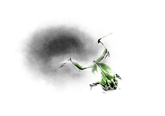 PSD 동물 한마리 일러스트 캘리그라피 개구리 사람없음 점프 청개구리 국내일러스트 1 모션 양서류 파일형식