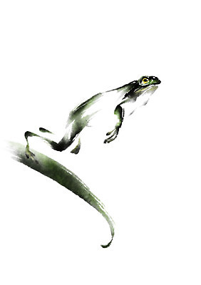 PSD 동물 한마리 일러스트 캘리그라피 개구리 사람없음 점프 풀 청개구리 국내일러스트 식물 1 모션 양서류 파일형식