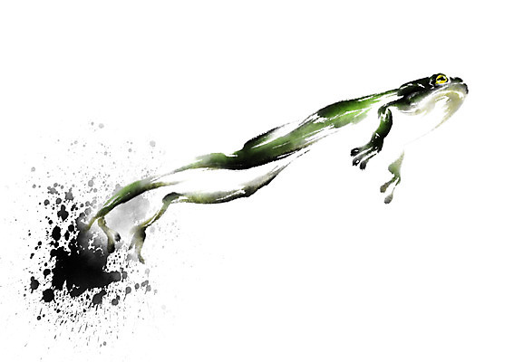 PSD 동물 한마리 일러스트 캘리그라피 개구리 사람없음 점프 얼룩 청개구리 국내일러스트 1 모션 양서류 파일형식