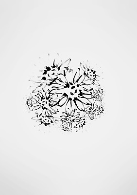 PSD 식물 꽃 여러송이 일러스트 캘리그라피 국화 사람없음 국내일러스트 다수 파일형식