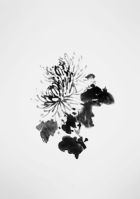 PSD 꽃 일러스트 캘리그라피 국화 사람없음 두송이 국내일러스트 식물 2 파일형식