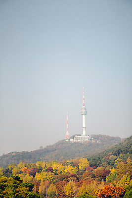 포토 JPG 주간 나무 단풍 산 서울 풍경 사람없음 야외 가을 남산 남산타워 국내포토 자연요소 식물 계절 잎 한국 랜드마크 파일형식