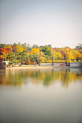포토 JPG 주간 나무 공원 단풍 하늘 거리 서울 풍경 사람없음 야외 가을 연못 국내포토 자연요소 식물 계절 공공시설 잎 한국 파일형식
