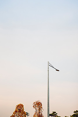 포토 JPG 주간 나무 단풍 가로등 하늘 서울 풍경 사람없음 야외 가을 국내포토 자연요소 식물 계절 공공시설 잎 한국 파일형식