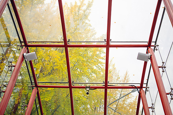 포토 JPG 주간 나무 단풍 유리 거리 서울 풍경 사람없음 야외 가을 은행나무 녹사평대로 국내포토 자연요소 식물 계절 잎 재질 한국 파일형식