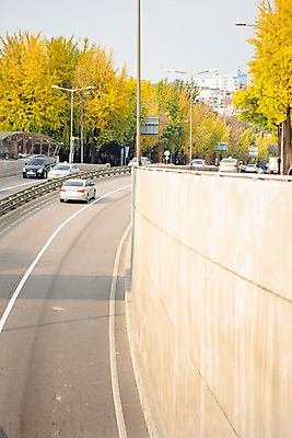 포토 JPG 주간 나무 도로 단풍 자동차 거리 서울 풍경 사람없음 야외 가을 은행나무 녹사평대로 국내포토 자연요소 식물 계절 길 육상교통 잎 교통시설 한국 파일형식
