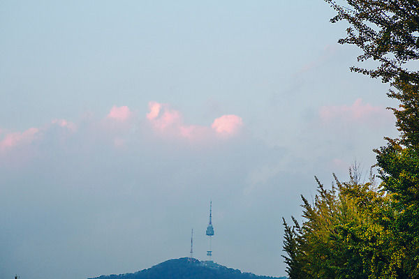 포토 JPG 주간 나무 구름 단풍 하늘 서울 풍경 사람없음 야외 가을 남산타워 국내포토 자연요소 식물 계절 잎 한국 남산 파일형식